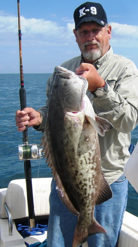 Ugly stik Tiger Lite jigging rod: opinions? - Page 2 - The Hull Truth -  Boating and Fishing Forum