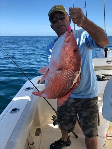 Hog Snapper? EDIT grunt pic - The Hull Truth - Boating and Fishing  Forum
