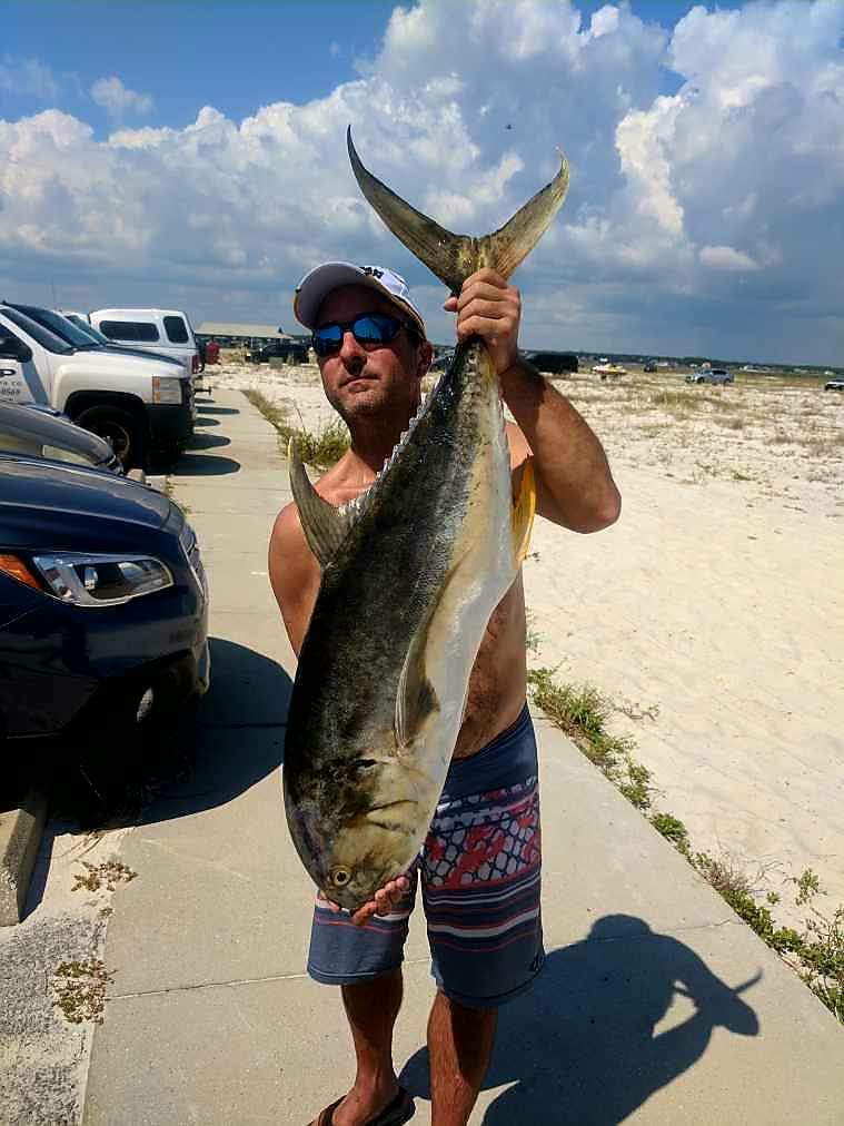 Do you think that jack crevalle are good fighters? - The Hull Truth -  Boating and Fishing Forum