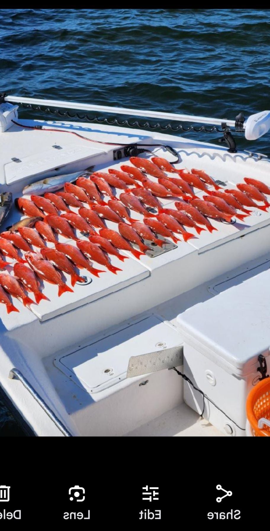 Who says you need a big boat for big fish !!!! - The Hull Truth - Boating  and Fishing Forum
