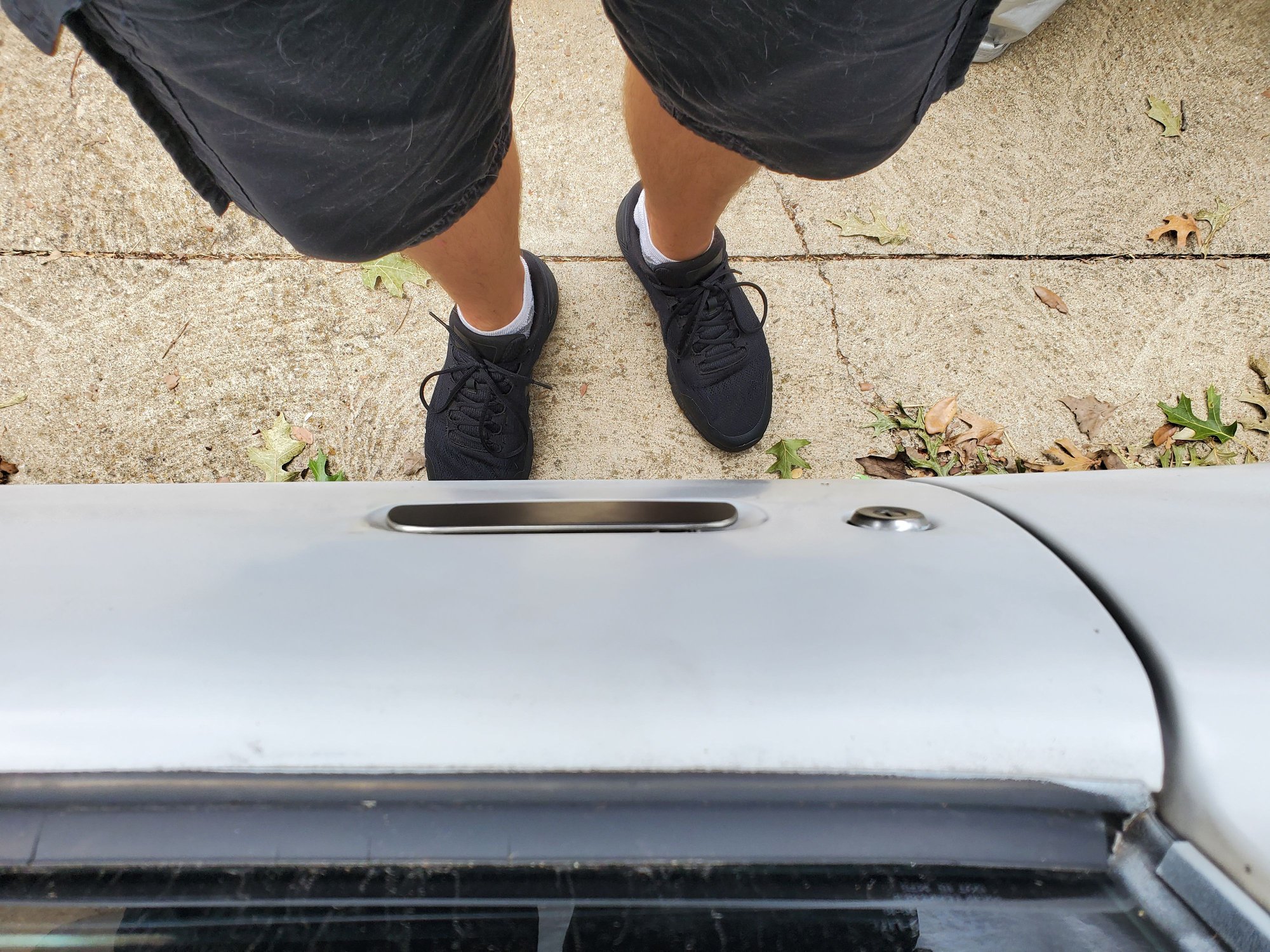 Flush mount outer door handles Third Generation FBody Message Boards