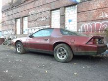 Needs a good bath!!!