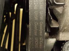 Belt from a 92 TPI bird. Will only see show duty.