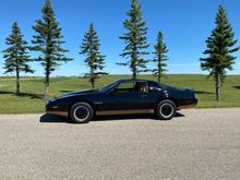 Here’s my 1983 Trans Am!  Love it, mine has the crossfire fuel injection and same steering wheel that was in the 82 model. Love the car!  