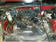 The hose connected to that branching off bit of the cleaner on the right.  That the one that needs to be connected to the plugged hole?