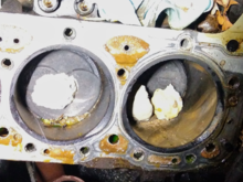 I found 3 mud dauber nests inside the cylinders...
