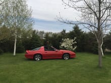 spring time in michigan