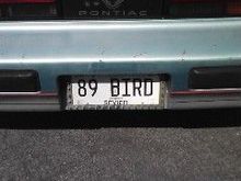 89 BIRD