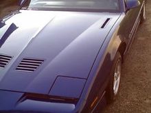 Just Waxed.