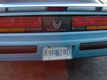 My plate