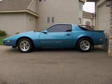 firebird side