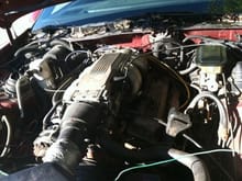 350 tpi removed from a c4 corvette