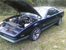 at the person's house that i got it from