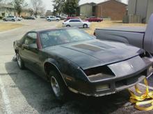 Day I brought her home.