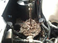 What a mess!