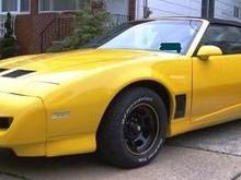 Firebird 003