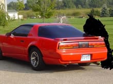 Pic of the car from the craigslist ad, with something odd: is it a hidden person? a mullet for the car? YOU DECIDE!