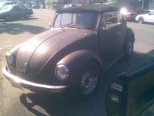 My 71 VW Bug