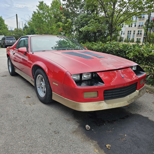 How she looks now after a good wash