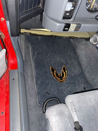 New floor mats 