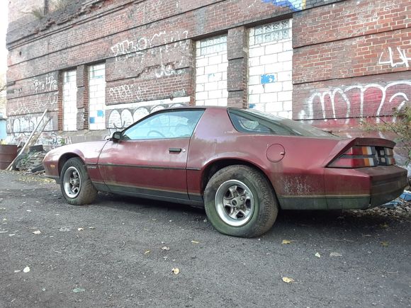 Needs a good bath!!!