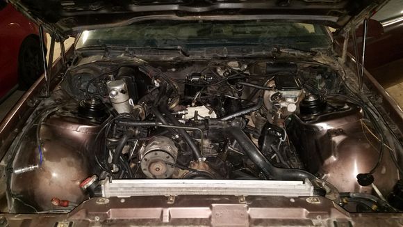 Alternator removed