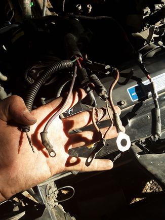 This is the starter cluster