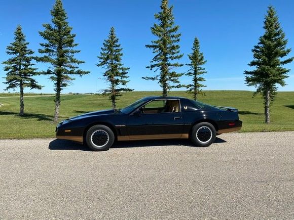 Here’s my 1983 Trans Am!  Love it, mine has the crossfire fuel injection and same steering wheel that was in the 82 model. Love the car!  