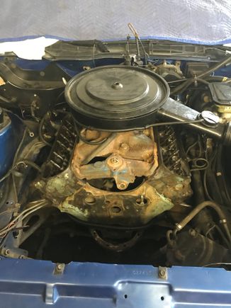 Fits under the formula hood, barely