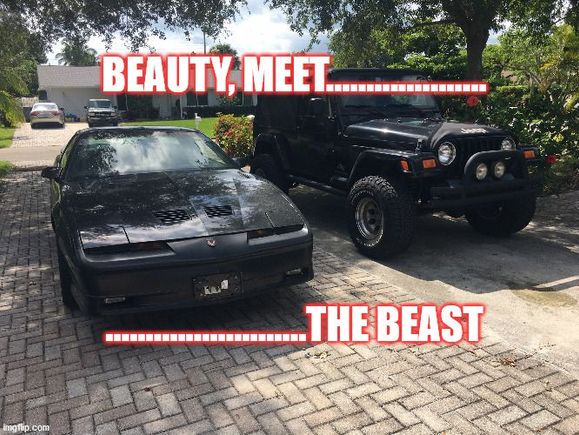 Not sure which is Beauty and which is Beast, but here the TA GTA met my (also rare) 2006 Jeep Wrangler Unlimited TJ.