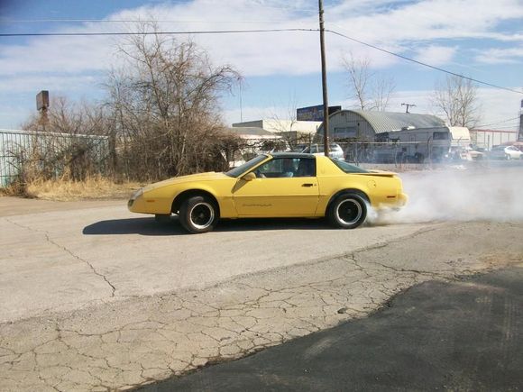 Greg doing a burnout b4 it leaves