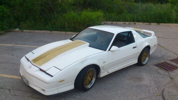 stripe is kind of growing on me,it definitely is different and the twin stripes just look wrong on the third gens.the heritage stripe package is the only twin stripe that looks halfway decent imo
