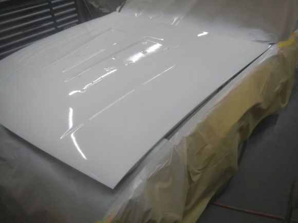 White epoxy. Not too shabby for primer.