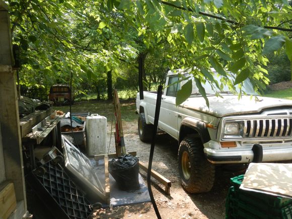 Hanging them from the tree to spray them.