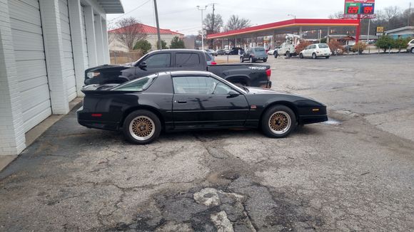 Here's my 87 GTA that way in a field for 10+ years. Got a long way to go but I drive her daily.