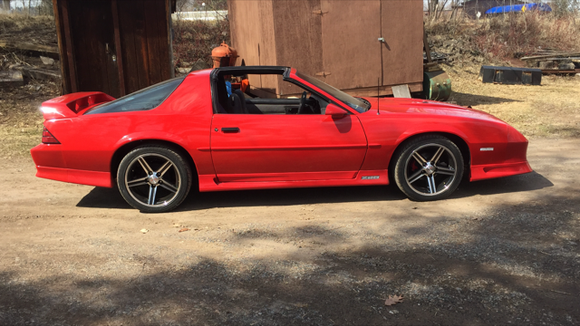 18" replicas