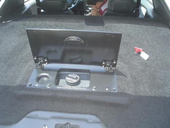 115 NO FUMES IN CAR !!!!