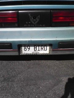 89 BIRD