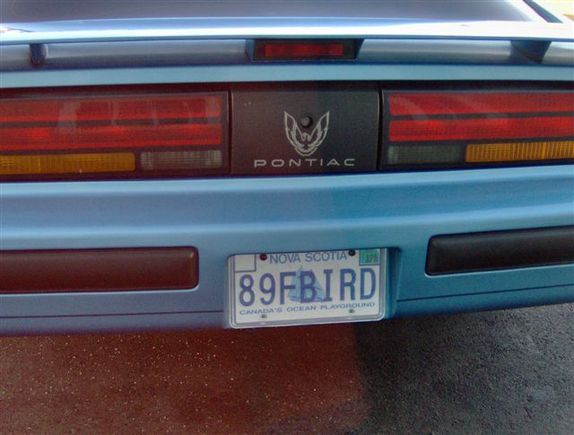 My plate