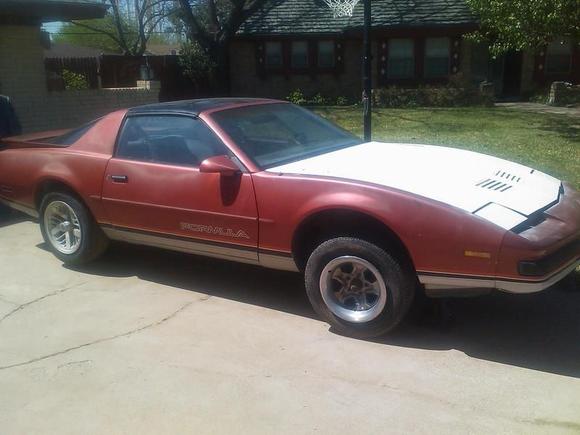 the day i bought her