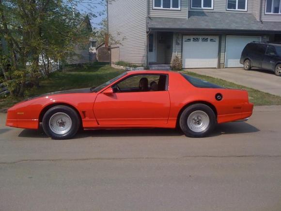 87 Trams Am "the Duchess".  Shaved doors.  GM Torch red and satin black on the hood.  Lots of power for a 305 tpi.
