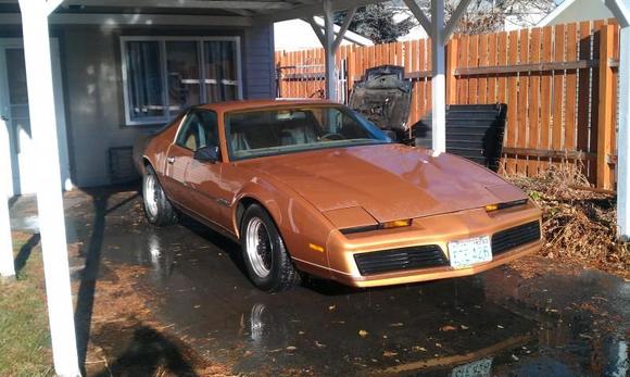 first day owning the car. found a the car a mile from my house under a tarp. its been sitting for 10 plus years
