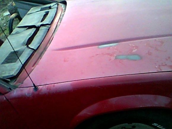 in this pic you can see were i have polished the old paint on the top of the fender with just rubbing comp.and the paint will be looking good again soon!