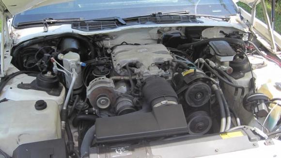 IMG 0012
2.8L V6. good candidate for motor swap. mpfi