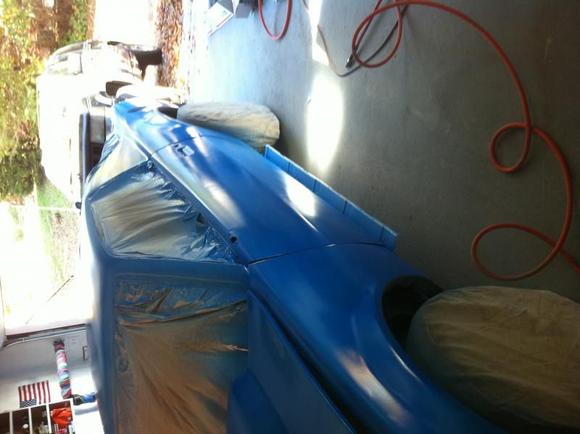 painting the bird