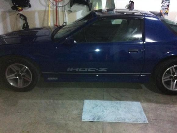 New Driver Side IROC-Z door decal.