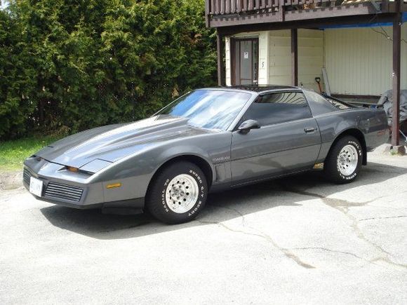 side shot i need to change the rims i miss the bajas i has black centers w/ chrome lip they were nice