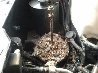What a mess!