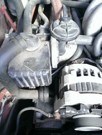 Vacuum Lines, filters?
