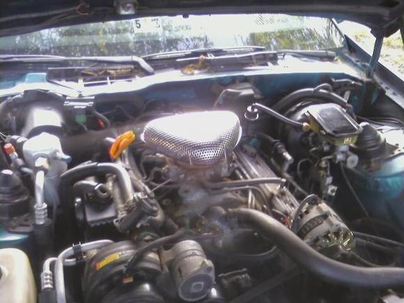 edelbrock aircleaner on engine